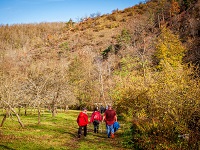  Blick auf die Wanderstrecke entlang des Loisbachs 