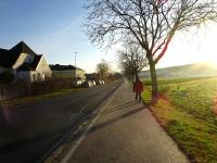  Wanderroute entlang der Bisamberger Strae 