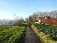  Wanderroute bei der Grtnerei Schiebhl 