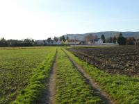  Wanderroute nach Langenzersdorf 