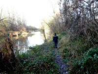 Wanderroute entlang eines Seiten-Altarm der Donau 