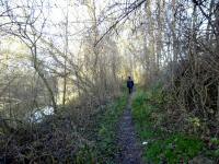 Wanderroute entlang eines Seiten-Altarm der Donau 