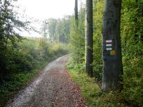  Blick auf die Wanderstrecke 