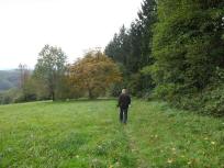 Blick auf die Wanderstrecke entlang der "Passauer Wiese" 