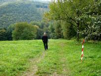 Blick auf die Wanderstrecke entlang der "Passauer Wiese" 