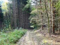  Wanderroute in den Pilzengraben 