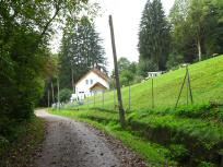  Blick auf die Wanderstrecke im Pilzengraben 