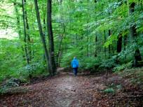  Blick auf die Wanderstrecke 