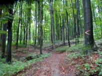  Blick auf die Wanderstrecke 