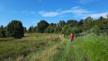 Blick auf die Wanderstrecke nach Ysper