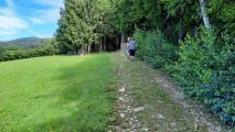 Blick auf die Wanderstrecke