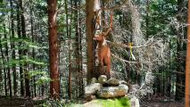  Blick zu Skulpturen der Holzschnitzkunst 