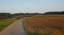  Blick auf die Wanderstrecke durchs Tobelfeld 