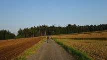  Blick auf die Wanderstrecke durchs Tobelfeld 