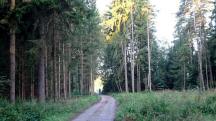  Blick auf die Wanderstrecke 