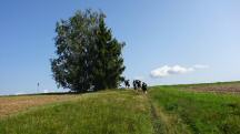  Blick auf die Wanderstrecke 