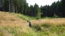  Blick auf die Wanderstrecke im Kaltenbachtal 