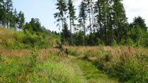  Blick auf die Wanderstrecke im Kaltenbachtal 