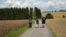  Blick auf die Wanderstrecke 