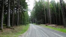 Wanderroute auf der L8121 durch das bewaldete Gebiet des Hollenbacher Berg 