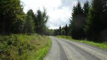 Wanderroute auf der L8121 durch das bewaldete Gebiet des Hollenbacher Berg 