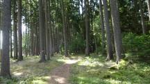  Blick auf die Wanderstrecke 