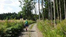  Blick auf die Wanderstrecke 