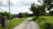  Blick auf die Wanderstrecke in Georgenberg 