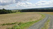 Blick auf die Wanderstrecke - leicht bergab von Georgenberg 