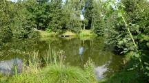  Blick zum 1. Teich auf den Weg nach Scheideldorf 