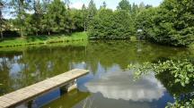  Blick zum 2. Teich auf den Weg nach Scheideldorf 