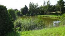  Blick zum 3. Teich auf den Weg nach Scheideldorf 