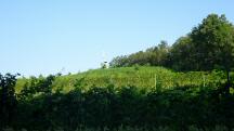  Fernblick zum Aussichtsturm "Korkenzieher" 