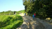 Wanderroute auf dem Fuchsberg zum Aussichtsturm "Korkenzieher" 