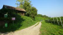  Blick auf die Wanderstrecke 