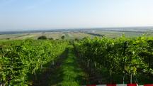 schner Fernblick von der Labestelle nach Frauendorf (und rechts im Bild nach Hilpersdorf) 