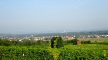 schner Fernblick von der Labestelle nach Stollhofen und Traismauer und weiter zum Krw.Thei 