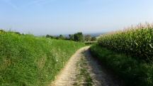  Blick auf die Wanderstrecke auf dem Nasenberg 