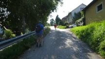  Wanderroute ber die Waldlesberger Gartenstrae 