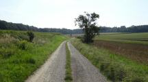  Wanderroute ber die Waldlesberger Strae 