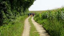  Wanderroute ber den Birkenweg 