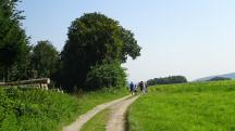  Wanderroute ber den Birkenweg 