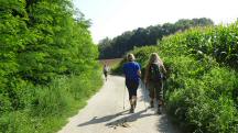  Wanderroute ber den Birkenweg 