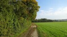  Blick auf die Wanderstrecke beim Marienhof 