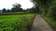  Blick auf die Wanderstrecke 