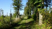  Blick auf die Wanderstrecke 