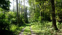  Blick auf die Wanderstrecke 