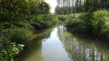  Blick auf den "Stockerauer Arm" 