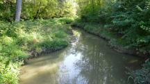  Blick auf den "Stockerauer Arm" 