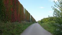 Blick auf die Wanderstrecke - wieder auf dem schon bekannten Streckenabschnitt entlang der A22 